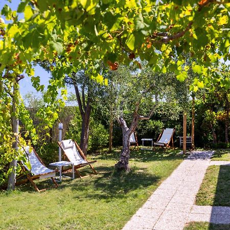 Aria Di Mare Vieste - Luxury Apartments By The Sea Kültér fotó