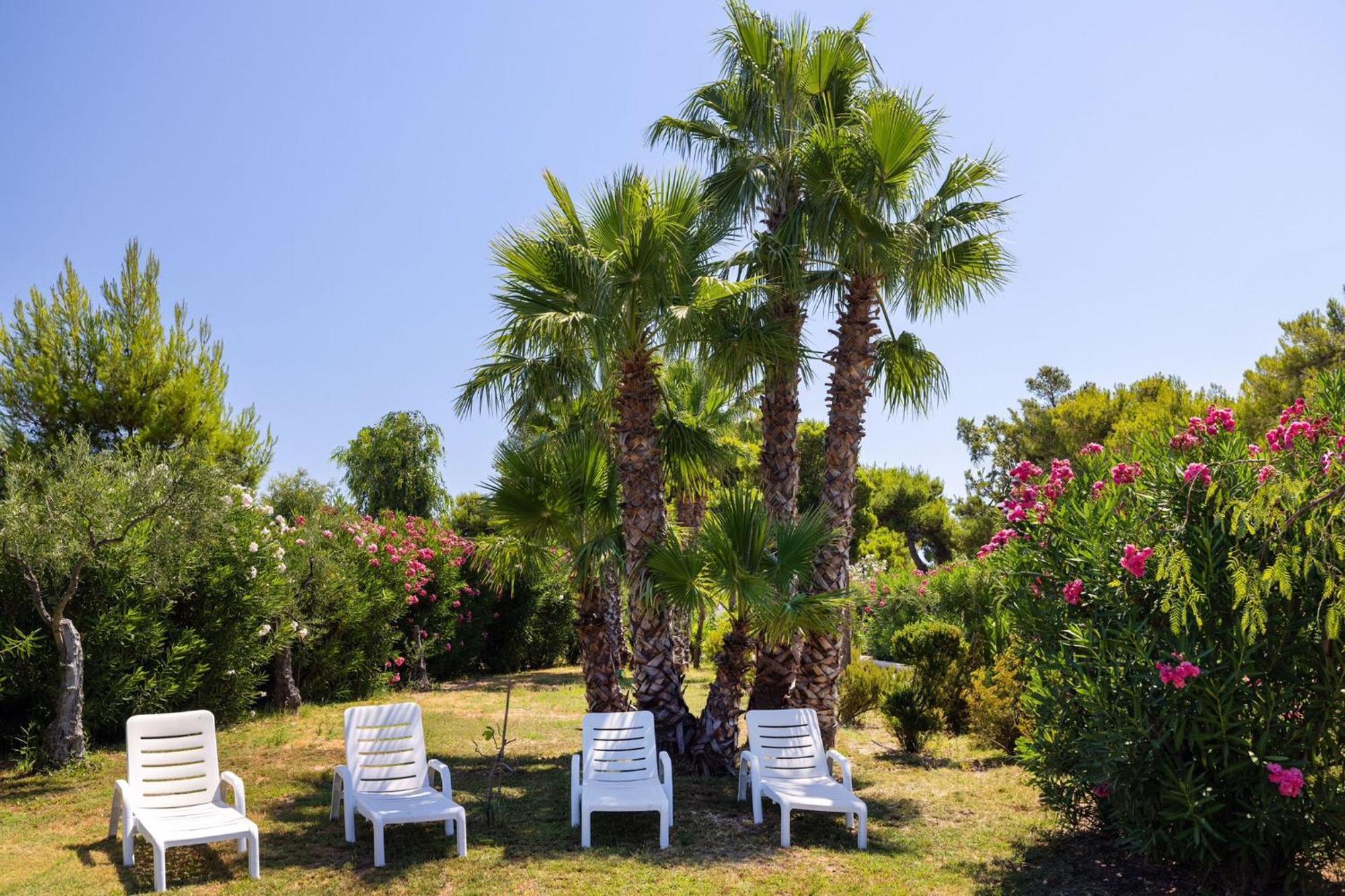 Aria Di Mare Vieste - Luxury Apartments By The Sea Kültér fotó